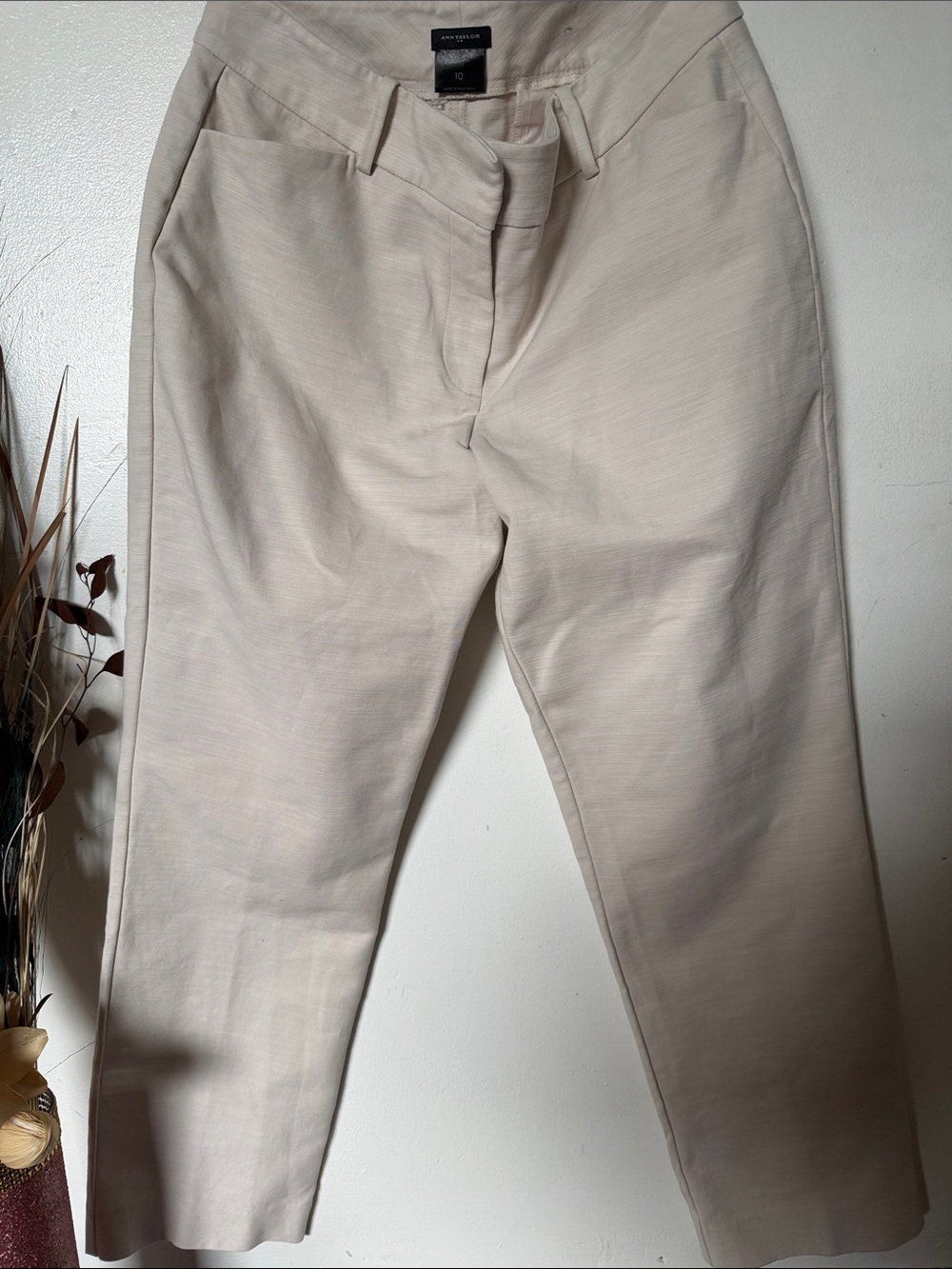 Ann Taylor Light Beige Men's Chinos